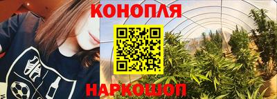 СК Абакан