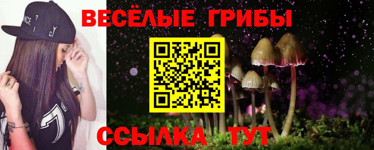 Псилоцибиновые грибы Psilocybe Астрахань