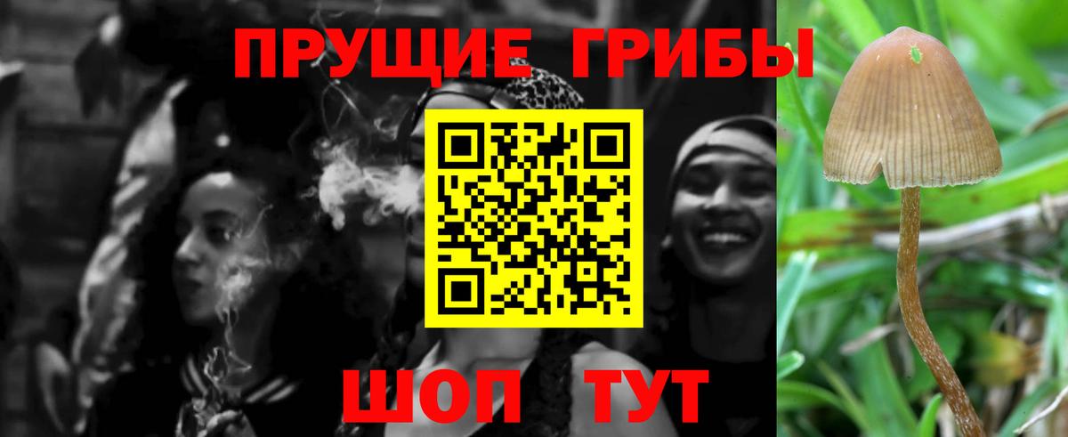 Астрахань  Галлюциногенные грибы Magic Shrooms  Вход с VPN 
